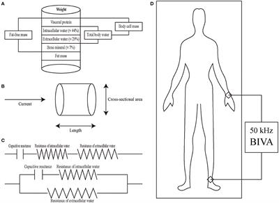 Bioimpedance Vector Analysis for Heart Failure: Should We Put It on the Agenda?